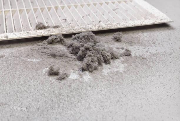 Best Air Vent Cleaning Services  in View Park Windsor Hills, CA