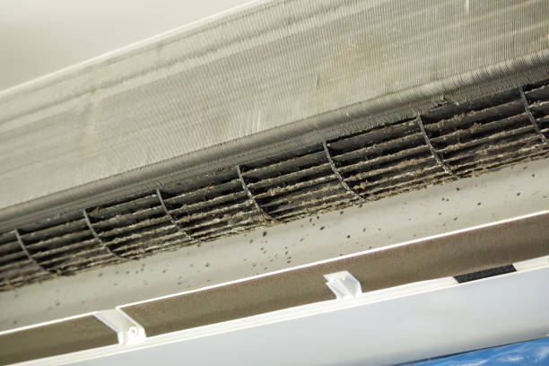 Best Air Vent Cleaning Services  in View Park Windsor Hills, CA